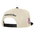 Detroit Pistons Malcolm X Two Tone Snapback - Back View