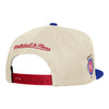 Detroit Pistons Malcolm X Tri-Color Snapback - Back View